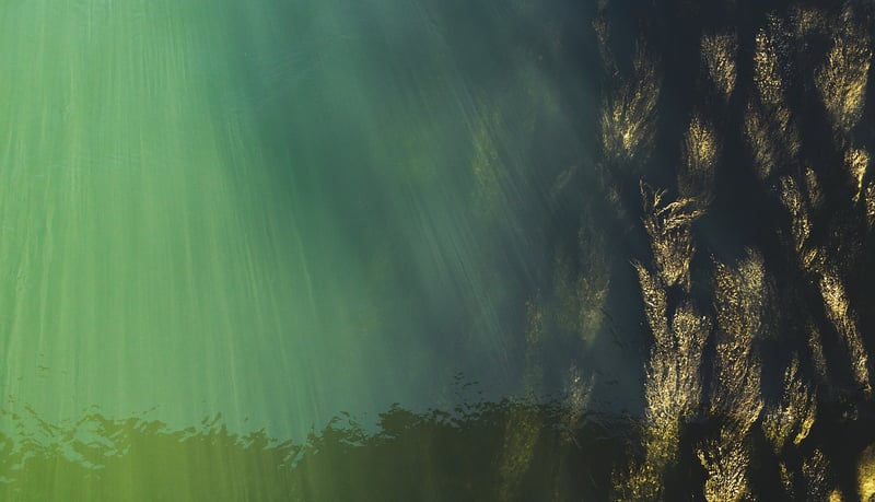 Underwater Worlds